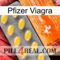 Pfizer Viagra new05